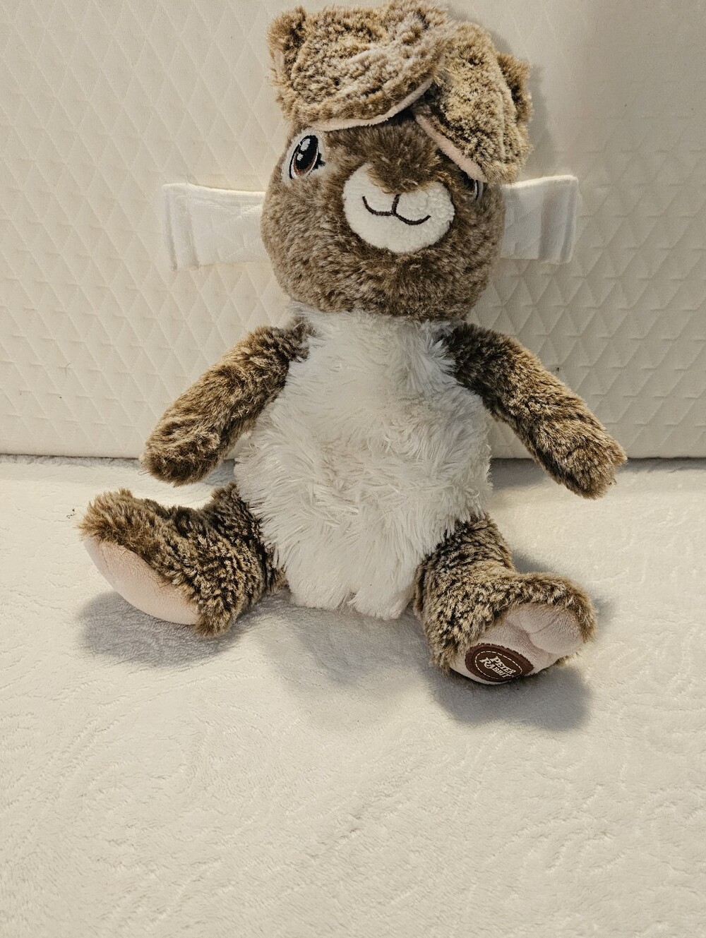 Dan Dee Collector's Choice Peter Rabbit 2 Interactive Pop-Up Ears Plush Easter